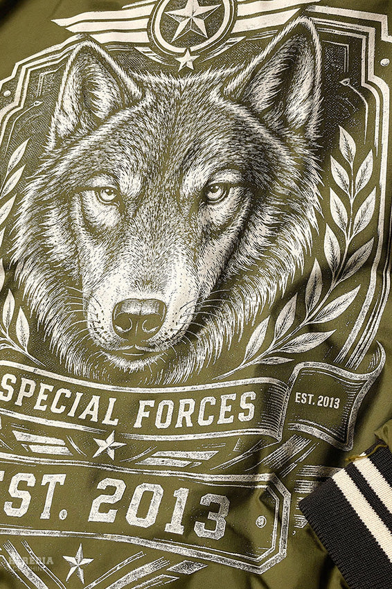 Bomber Special Force