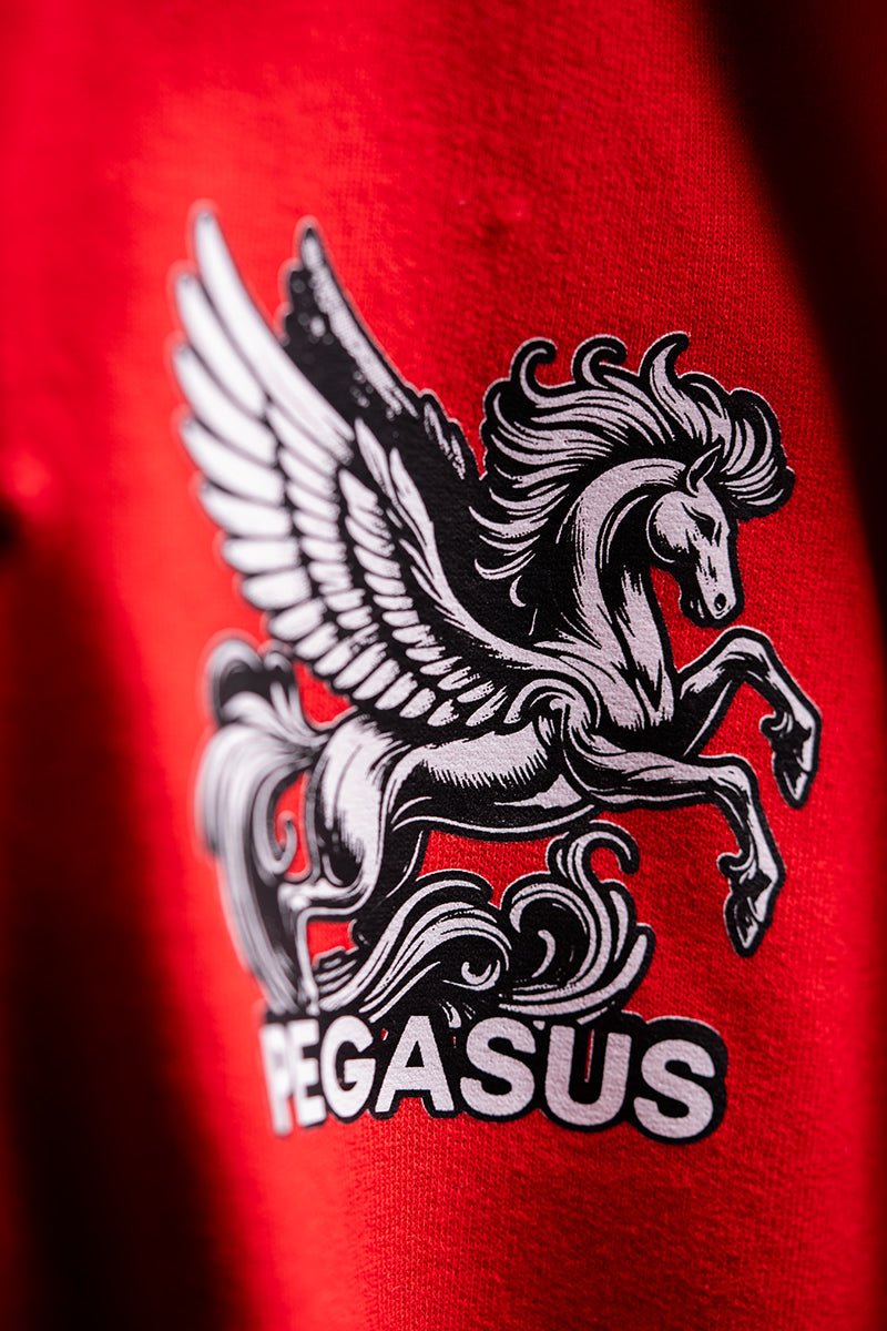Sudadera Pegasus - Heredia Clothing