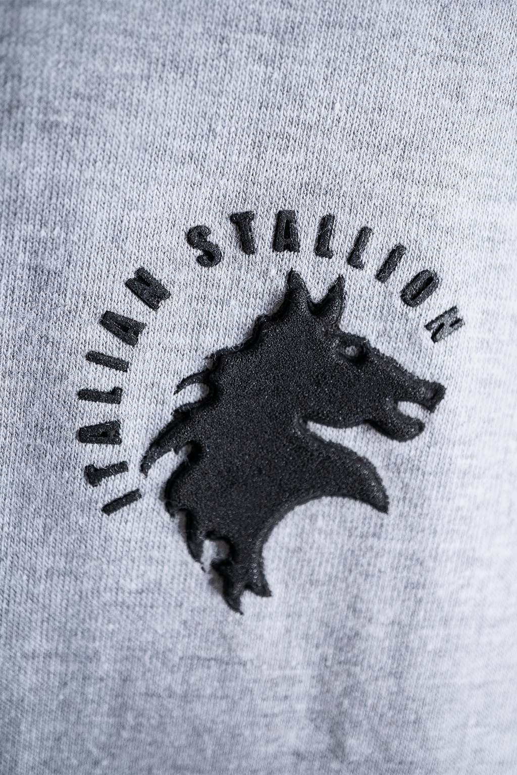 Hoodie Balboa - Training Mode