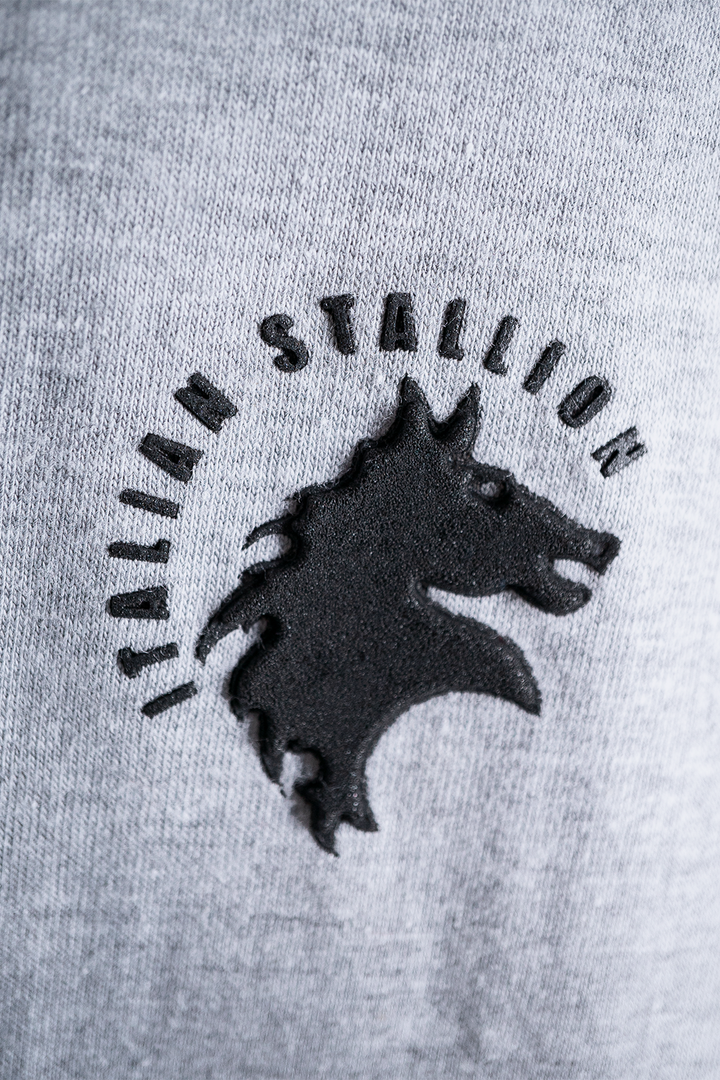 Hoodie Balboa - Training Mode